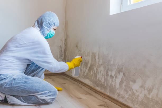 Hvac And Air Duct Mold Remediation inspection of HVAC system in Raleigh