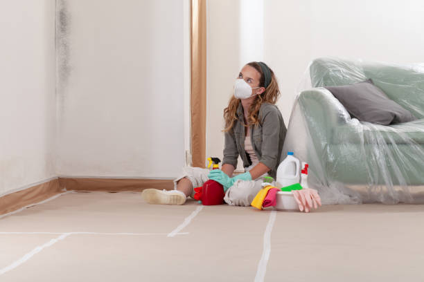 Mold Remediation service in Raleigh, Raleigh, NC